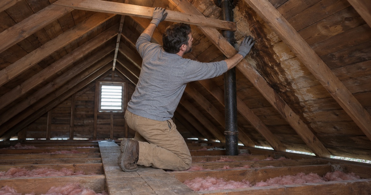 A water stain spreading down the old board sheathing around a vent pipe in the attic of a Clifton Cape Cod, checked from inside.